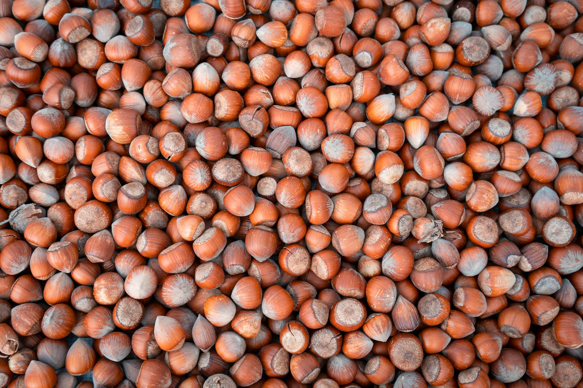 Fındık ve Biz: Türkiye’nin Göz Bebeği Neden Hep Gündemde?